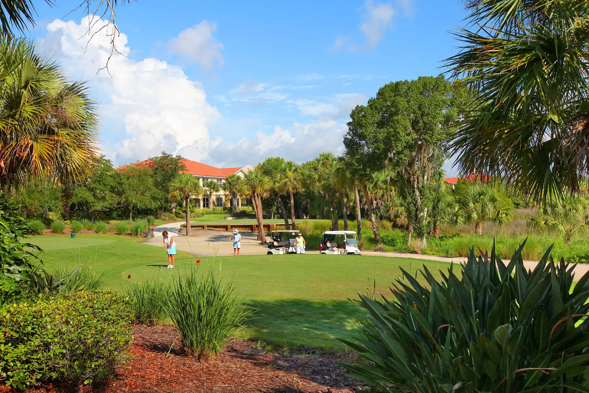 buy a home in sarasota