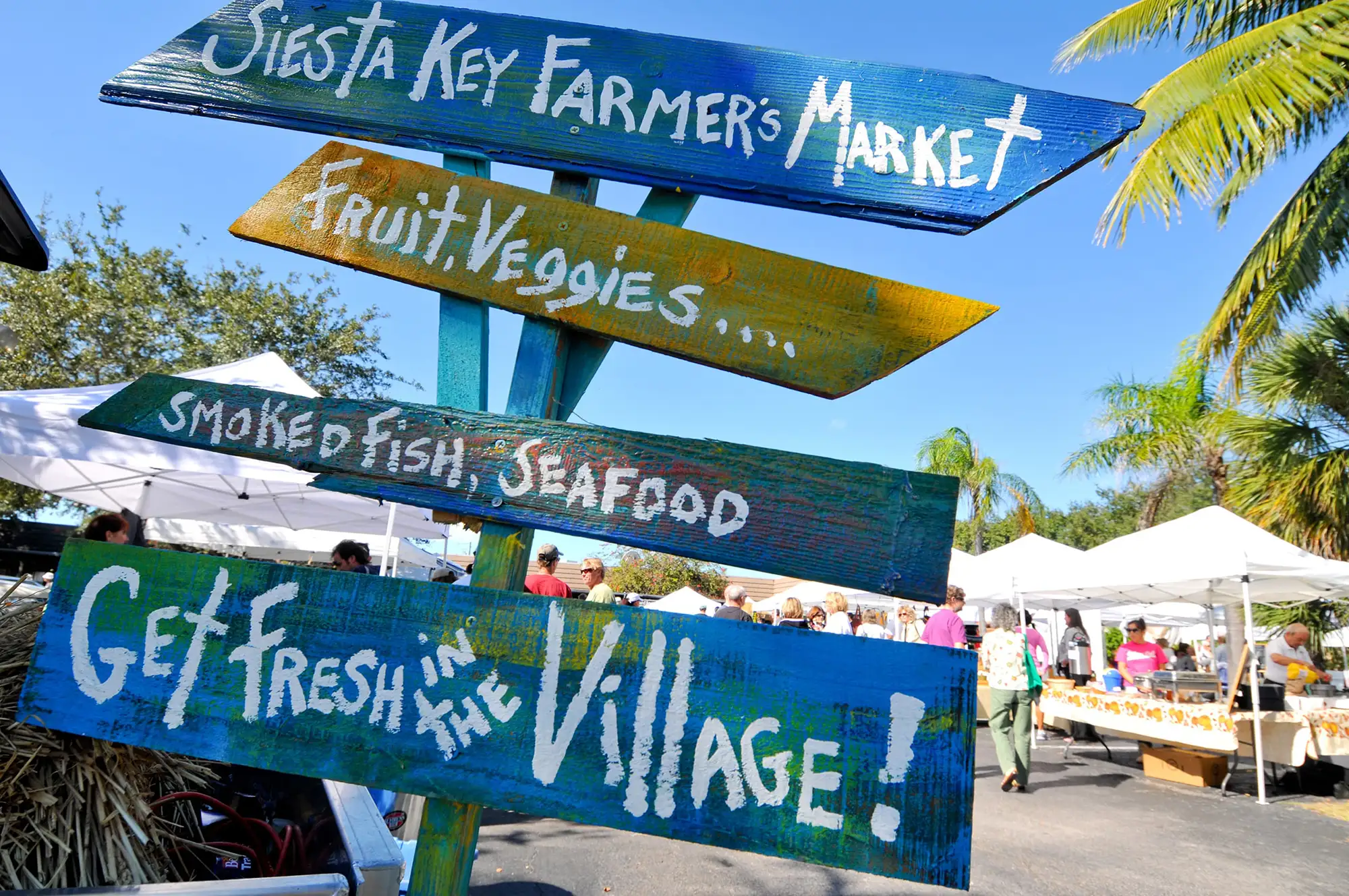 find your dream home sarasota