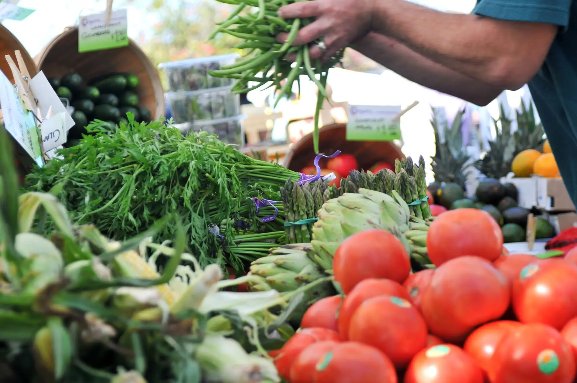 first time home buyer sarasota